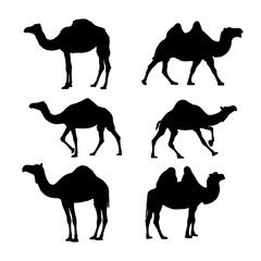 set of silhouettes of camel illustration vector