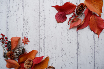 Autumnal concept decoration with colorful leaves, acorn and berries. Autumn season composition....