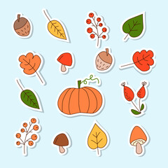 Set of autumn stickers: leaves,pumpkin, mushrooms, acorn, berries. Flat iilustration
