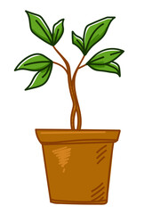 Growing tree plant in pot, agriculture and hobby