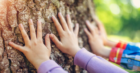 Children's hands touching tree trunk in the natural park.