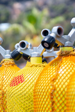 scuba tanks of diving center with air nitrox or trimix in marina port  for courses or dive trips