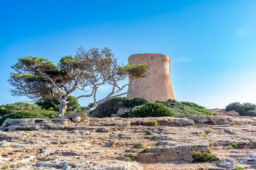 Spain Majorca island, beautiful beach bay Cala Pi, Mediterranean Sea