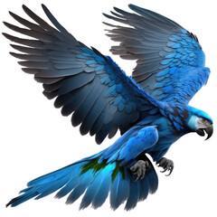 Obraz premium color bird looking isolated on white