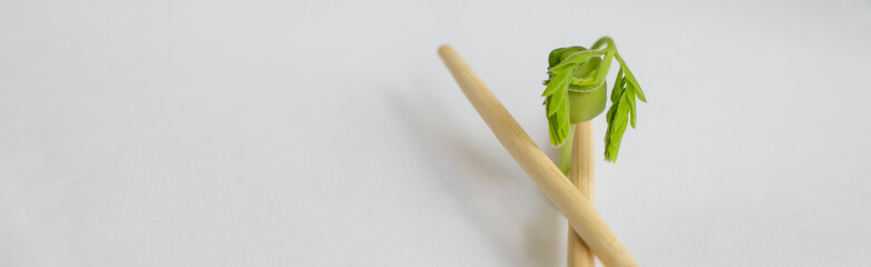 Microgreens or baby greens. Legumes. Wooden chopsticks. Copy space.