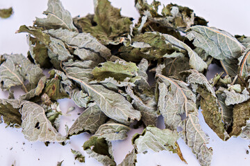 A handful of dry mint leaves on a white background. Close-up