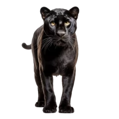 Fotobehang Black Panther on Transparent Background. Generative AI © zainab