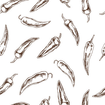 Hand-drawn vector seamless pattern of chili pepper. Vintage doodle illustration. Sketch for cafe menus and labels. The engraved image.