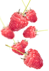 pattern of fresh organic raw raspberries isolated over white background, healthy eating, summer harvest