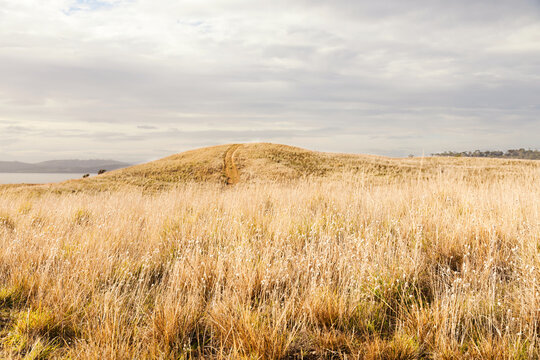 Cloudy sky over low grassland in public coastal nature reserve