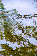 光を反射して揺らめく水面。