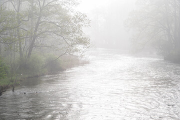 Obraz na płótnie Canvas 朝靄に霞む川と川辺の森。北海道、釧路川の朝。