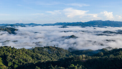 Panorama of Borneo jungle with morning fog © Yusnizam Yusof
