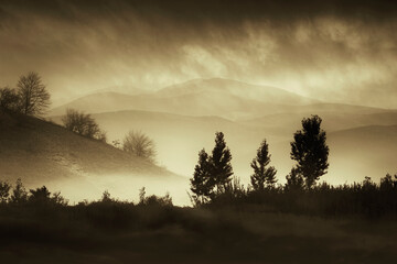 trees and hills, fantasy landscape in sunset light