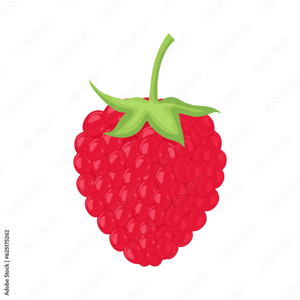 Poster fresh raspberry vector. sweet fruit of raspberry with leaf in cartoon style isolated on white backgr