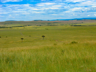 Maasai Mara Game Reserve in foreground with river by trees marking border with Serengeti National Park in Tanzania 