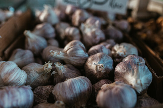 Close-up of garlic for sale at Flemington Farmers Market in Sydney