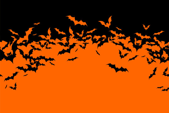 Halloween banner with black bats on the orange background. Illustration with text.
