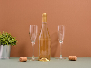 Romantic evening and surprise. Pleasant experiences with bottle of white wine.