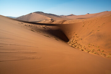 Fototapeta na wymiar red dunes of Sossusvlei