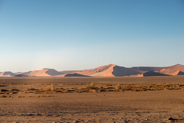 Fototapeta na wymiar Namibian desert by morning