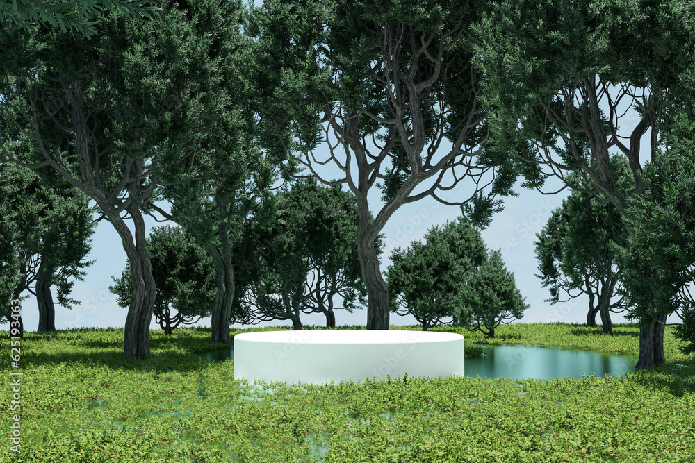 Poster abstact 3d render and natural background, white podium in the forest with weed field on the lake for
