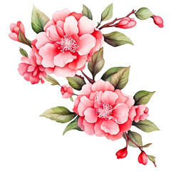 Obraz premium Water color beautiful pink camellia flower garland png clip art