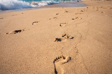Fototapeta na wymiar Footprints On Ocean Sandy Beach