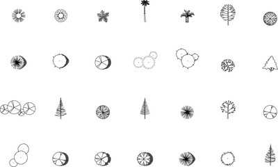 Vector illustration sketch of vegetation plant design collection