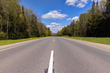 paved road in the countryside in the spring forest