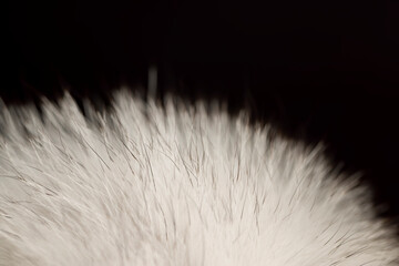 close-up of arctic fox fur used in the manufacture of clothing