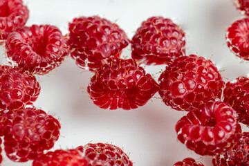 Ripe raspberries in a bowl with water