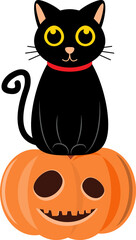 Black cat and pumpkin . Cartoon character . Halloween concept .