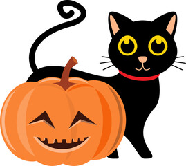 Black cat and pumpkin . Cartoon character . Halloween concept .