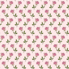 Seamless pattern with watercolor rose