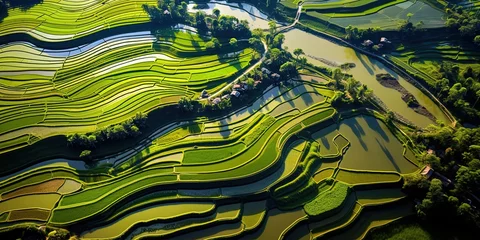 Abwaschbare Fototapete Reisfelder Landscape Of Ricefield