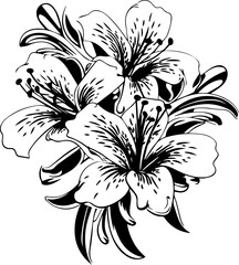 Silhouette flower plant images