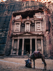 camel in historic city