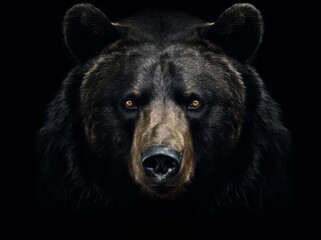 Fototapeta premium Ursus Portrait, A Majestic Illustration of a Dangerous Grizzly Bear, Generative AI