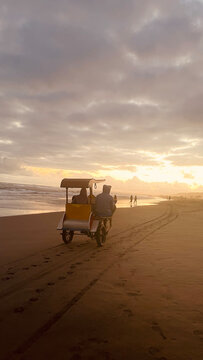 horse carriage with sunset in parangtritis