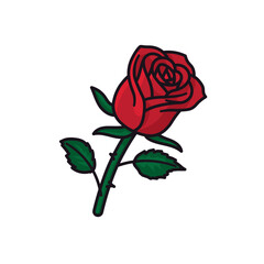 Red rose blossom isolated vector illustration  for Red Rose Day on June 12