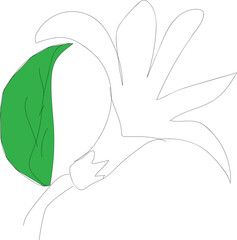 White flower with green leaf