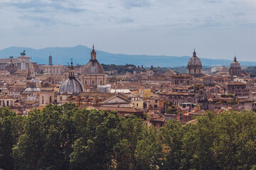 Fototapeta na wymiar panoramic view of rooftops in Florence