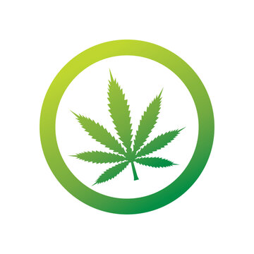 Mariuhana leaf symbol, marijuana or hemp icon, cannabis medical sign