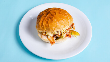 Chicken tombik doner kebab isolated close up