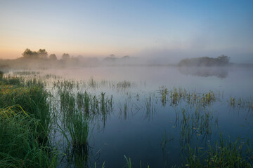 Fototapeta na wymiar morning mist on the river