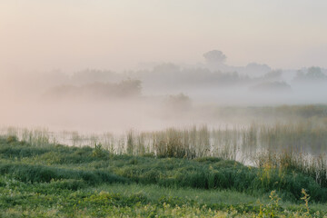 Fototapeta premium misty morning in the field