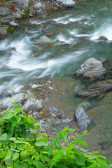 Fototapeta na wymiar 夏に見た川の流れ
