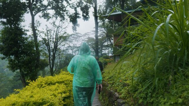 Greenhouse worker conservatory employee in raincoat walks along the path.