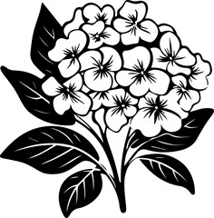 Silhouette flower plant images